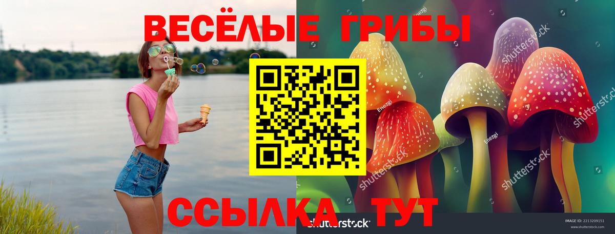 Галлюциногенные грибы Psilocybine cubensis  Галлюциногенные грибы Psilocybine cubensis  Вход с VPN  Сухой Лог 